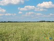 tract 1 - tbd cr 318, caldwell,  TX 77836