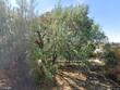  hesperia,  CA 92345