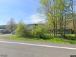  willet,  NY 13863