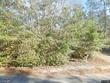 208 orange st, walterboro,  SC 29488