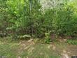48 roundtree rd # 18
                                ,Unit # 18, blythewood,  SC 29016