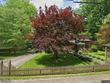 307 elm st, martin,  TN 38237