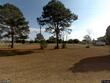 53 hannahan ln, green pond,  SC 29446
