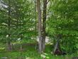 765 corinth rd, sharon,  TN 38255