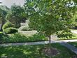 216 chancery rd, baltimore,  MD 21218