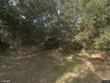 713 sandpiper rdg, edisto island,  SC 29438