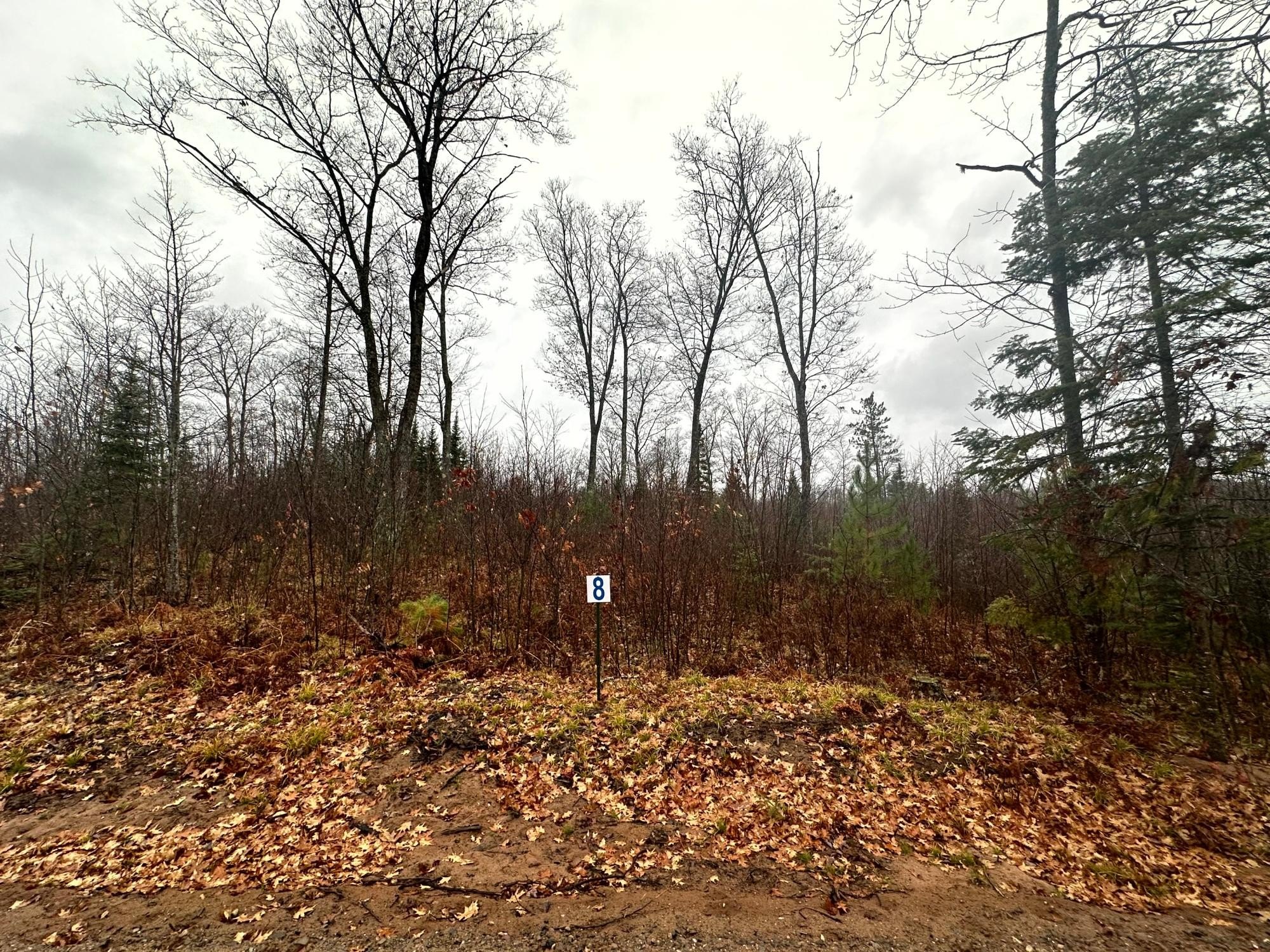 lot 8 cth b, land o lakes,  WI 54540