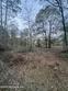 tbd nw 251st street, lawtey,  FL 32058