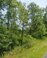 0 wesley chapel avenue, cottageville,  SC 29435