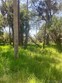 sw 137th street, waldo,  FL 34231
