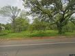  orange,  TX 77630