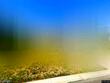 1300 se rosehill dr, lees summit,  MO 64081