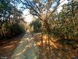 0 capital road, jacksonboro,  SC 29452