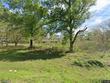  vidor,  TX 77662