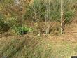 2933 schoharie tpke, delanson,  NY 12053