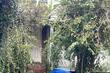  parkville,  MD 21234