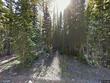 281 n forest dr # c
                                ,Unit # C, brian head,  UT 84719