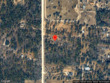  morriston,  FL 32668
