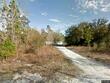  bronson,  FL 32621