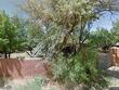 22 la vega, lamy,  NM 87540