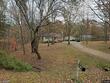 208 essex ln s, clayton,  NC 27520