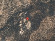 2619 summit court lot 32, santa fe,  NM 87501