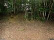 1624 frank dillard rd, jefferson,  NC 28640
