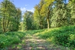 7158 pinot noir ln, concrete,  WA 98237