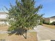  haines city,  FL 33844