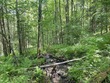 1277 cabot rd, marshfield,  VT 05658