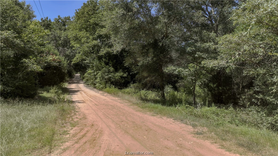 000 tbd lakeview drive, caldwell,  TX 77836