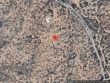 27 mamies mile, santa fe,  NM 87506