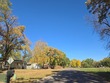  south haven,  MN 55382