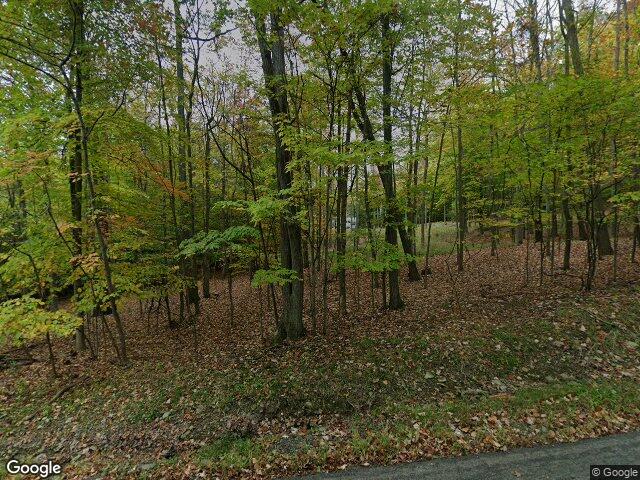 1201 holly rd, vestal,  NY 13850