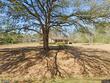 379 chestnut rd, walterboro,  SC 29488