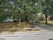 3605 nw dogwood dr, blue springs,  MO 64015