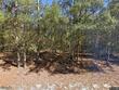 5252 highway 17, springfield,  GA 31329