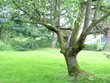  mount vernon,  WA 98273