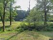  bolivar,  TN 38008