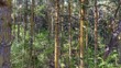 0 schruder road, lopez island,  WA 98261