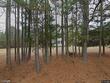 1855 bullocksville park rd, manson,  NC 27553