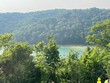 lot #9 obey river shores, byrdstown,  TN 38549
