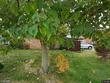 344 douglas avenue b, mascoutah,  IL 62258