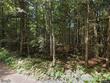 12891 rocky point ln, lac du flambeau,  WI 54538