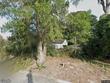 159 hollis dr n, orange park,  FL 32073