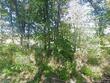 28604 se ryan rd, blue springs,  MO 64014