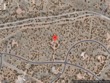 46 wildhorse, santa fe,  NM 87506