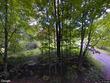 520 collar hill rd, worcester,  VT 05682