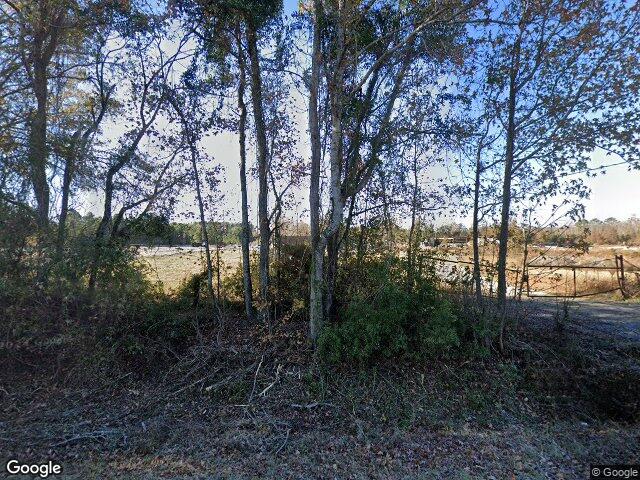 1383 reedsville rd, clyo,  GA 31303