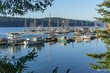 61 yew ln, lopez island,  WA 98261